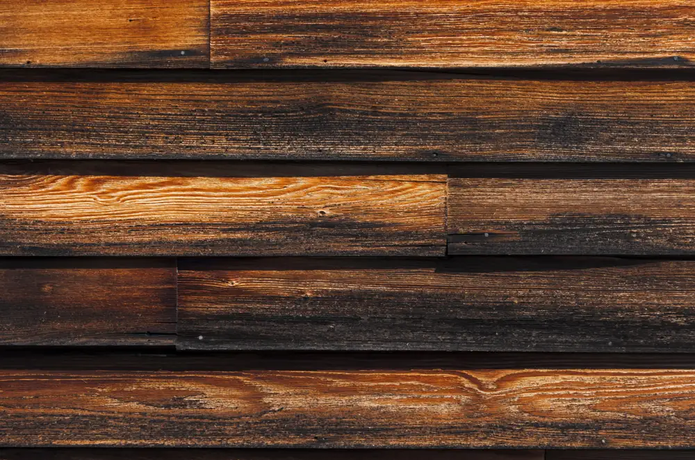 Real stained clapboard siding: visible grain, colour variation and overlapping courses. A material reference, not the demonstration shed.